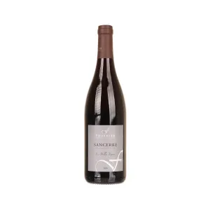 DOMAINE FOURNIER Sancerre Les Belles Vignes Rouge 21 (750mL)