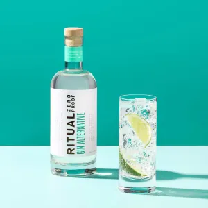 NA Gin Ritual Point Wine Spirits