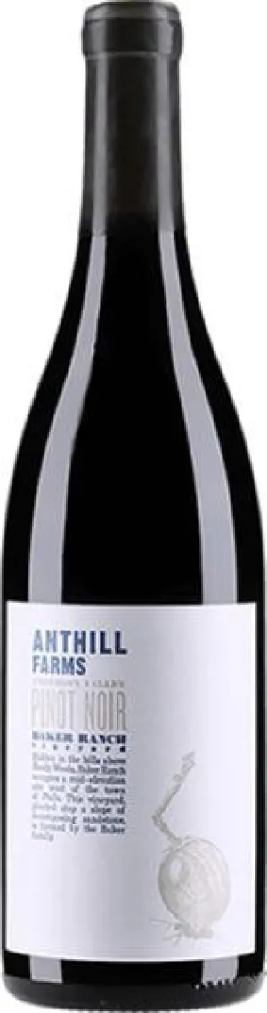PN Anthill Farms 2020 Anderson Valley Baker Ranch Vineyard Point Wine Spirits